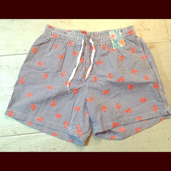 chubbies Other - Chubbies Anchors Away swim shorts size Large